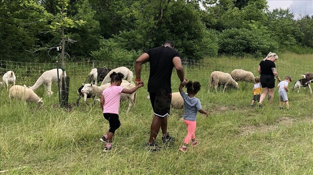 De nouvelles activités gratuites au Centre de la nature dès juin