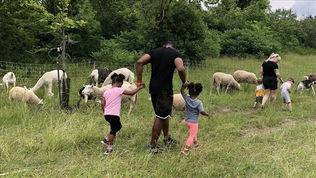 De nouvelles activités gratuites au Centre de la nature dès juin