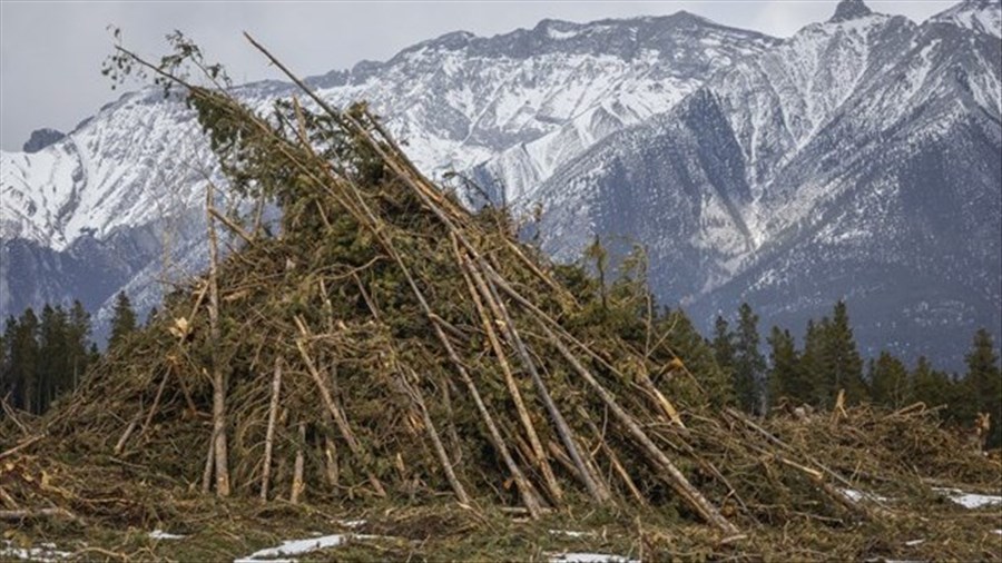 Que réserve la saison des feux de forêt de 2026 au Canada?