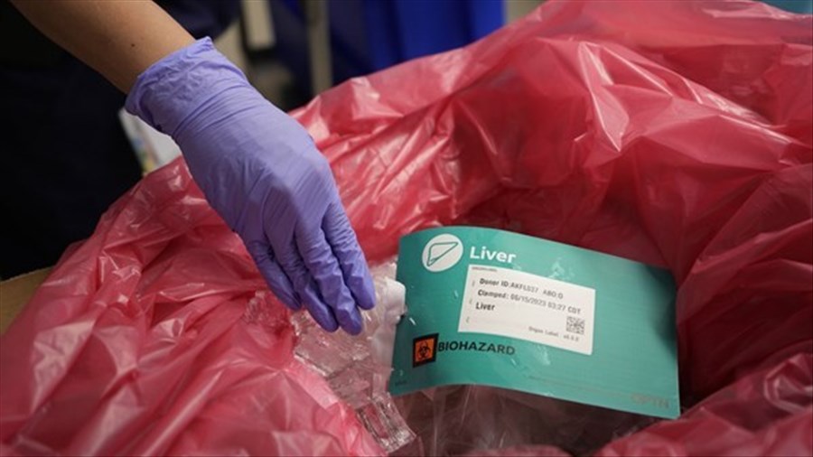 Légère baisse des dons d'organes au Québec en 2025