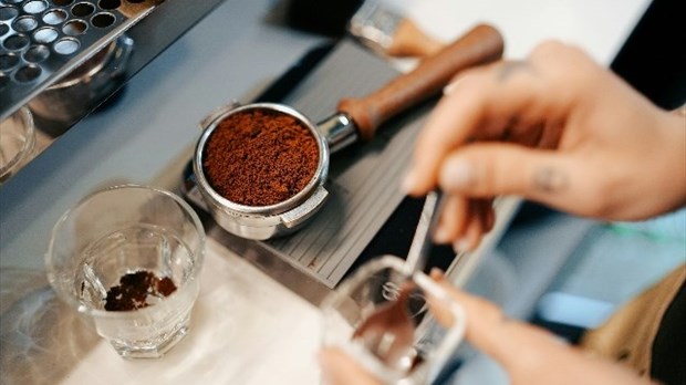 Les meilleurs torréfacteurs de café à Montréal : guide 2026 pour amateurs exigeants